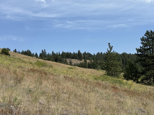 TBD Seth Ln, Republic, WA 99166 - photo 14