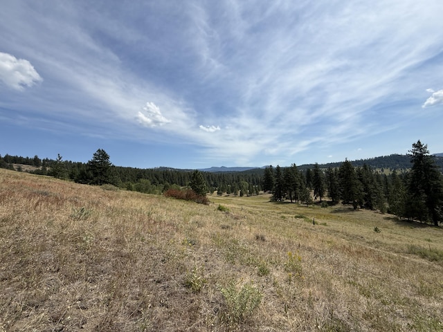 TBD Seth Ln, Republic, WA 99166 - photo 4