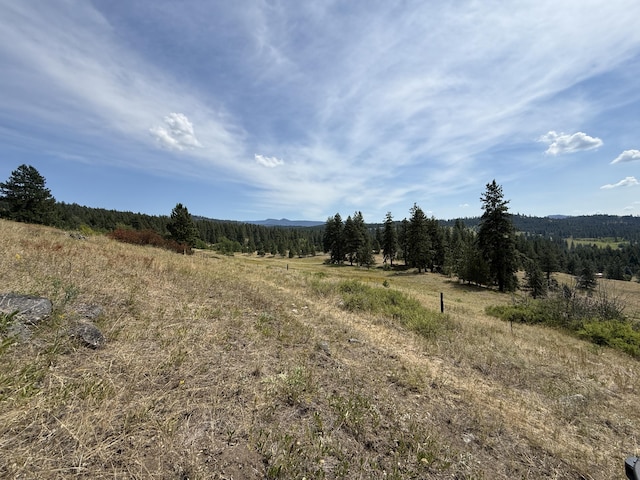 TBD Seth Ln, Republic, WA 99166 - photo 3