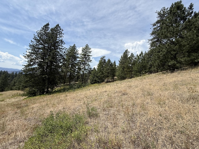 TBD Seth Ln, Republic, WA 99166 - photo 10