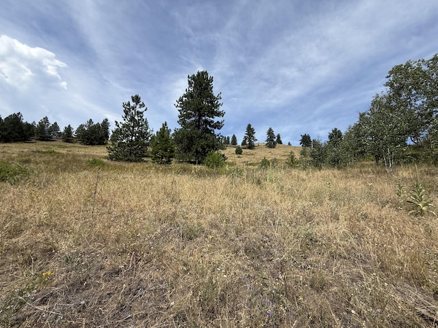 TBD Seth Ln, Republic, WA 99166 - photo 15