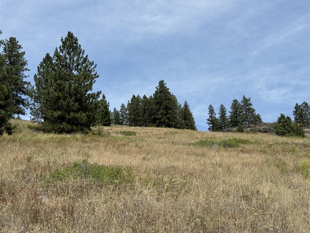 TBD Seth Ln, Republic, WA 99166 - photo 13