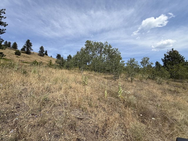 TBD Seth Ln, Republic, WA 99166 - photo 16