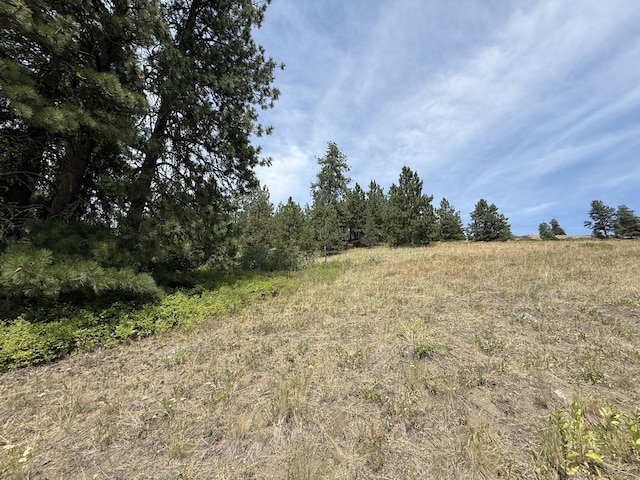 TBD Seth Ln, Republic, WA 99166 - photo 5