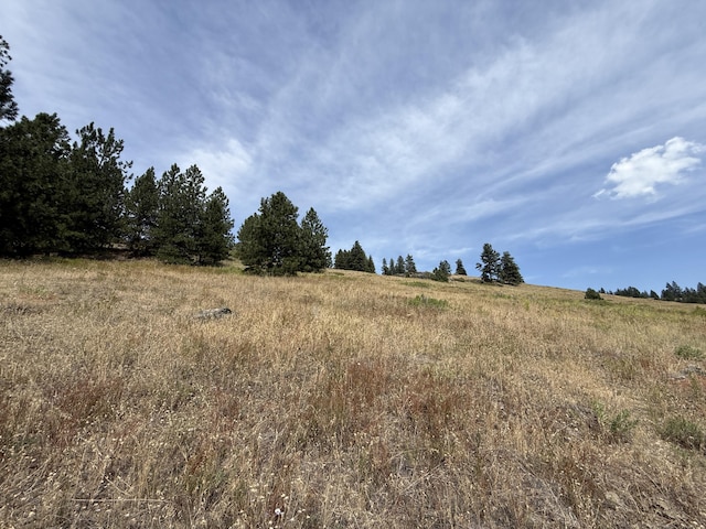 TBD Seth Ln, Republic, WA 99166 - photo 11