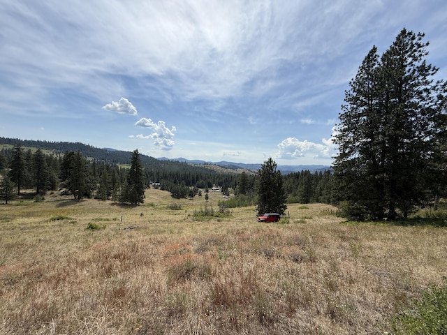 TBD Seth Ln, Republic, WA 99166 - photo 1