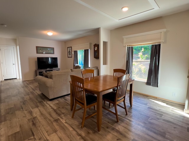dining space featuring wood finished floors