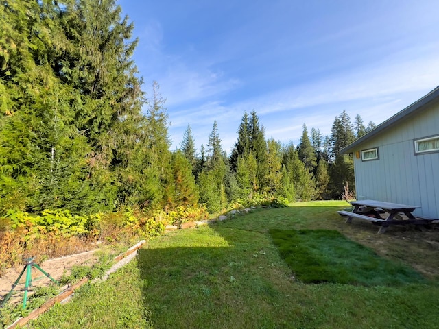 view of yard