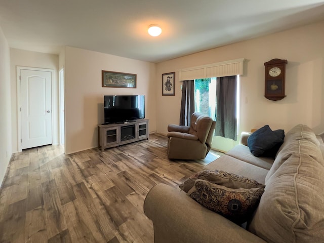 living area featuring wood finished floors