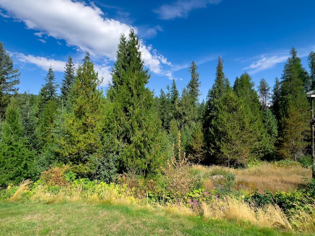 view of landscape featuring a forest view
