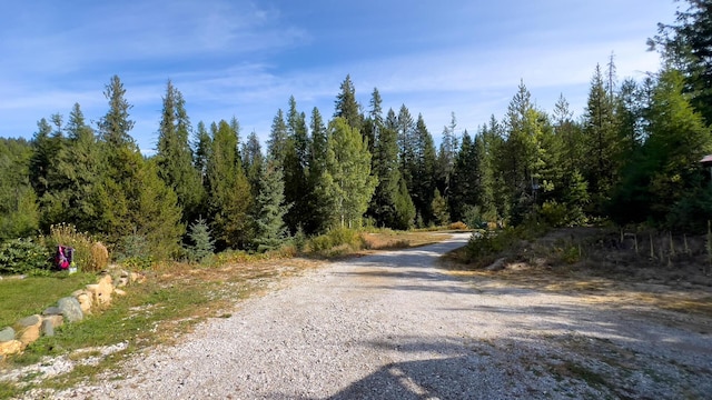 view of street featuring a wooded view