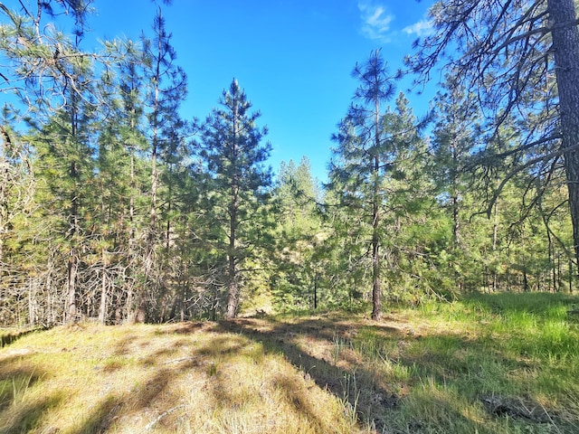 5XX Couples Ct, Chewelah, WA 99109