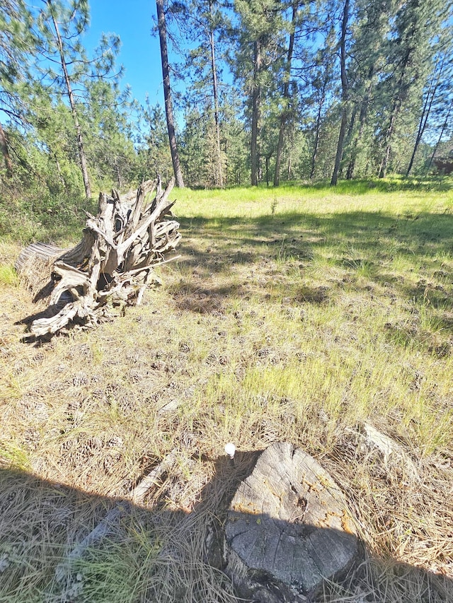 5XX Couples Ct, Chewelah, WA 99109
