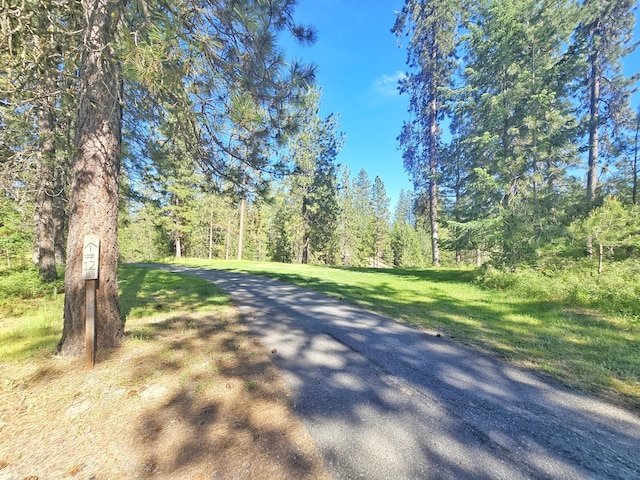5XX Couples Ct, Chewelah, WA 99109