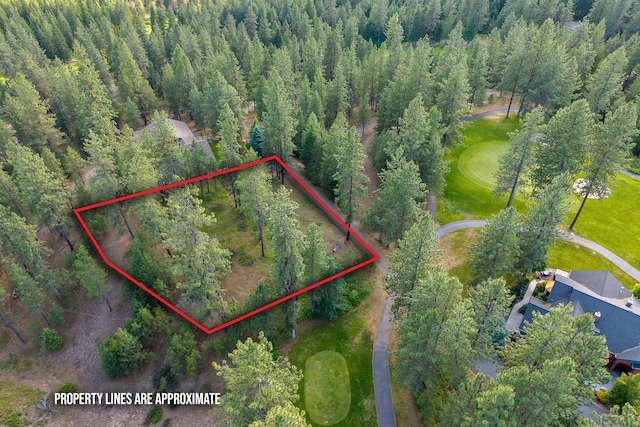 5XX Couples Ct, Chewelah, WA 99109