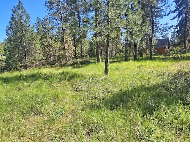 5XX Couples Ct, Chewelah, WA 99109