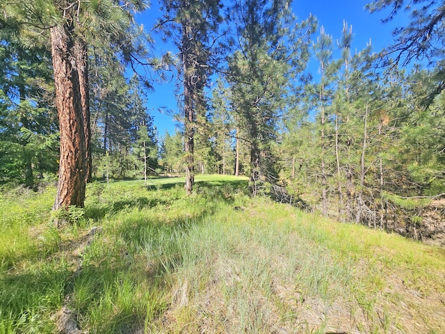 5XX Couples Ct, Chewelah, WA 99109