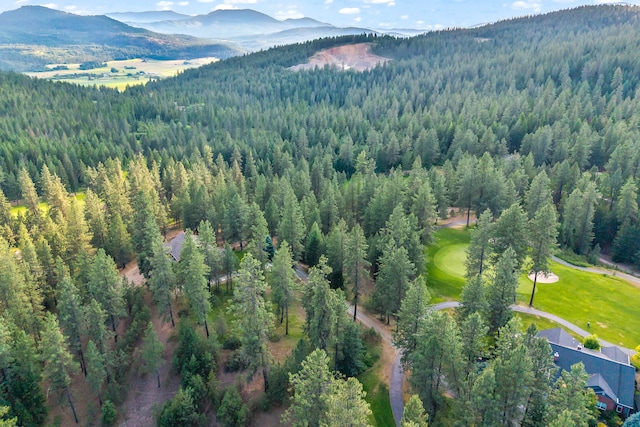 5XX Couples Ct, Chewelah, WA 99109