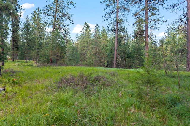 5XX Couples Ct, Chewelah, WA 99109