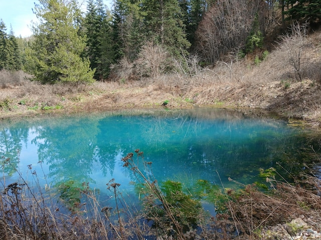 4224 Grouse Creek Rd Unit C, Loon Lake, WA 99148 - water view
