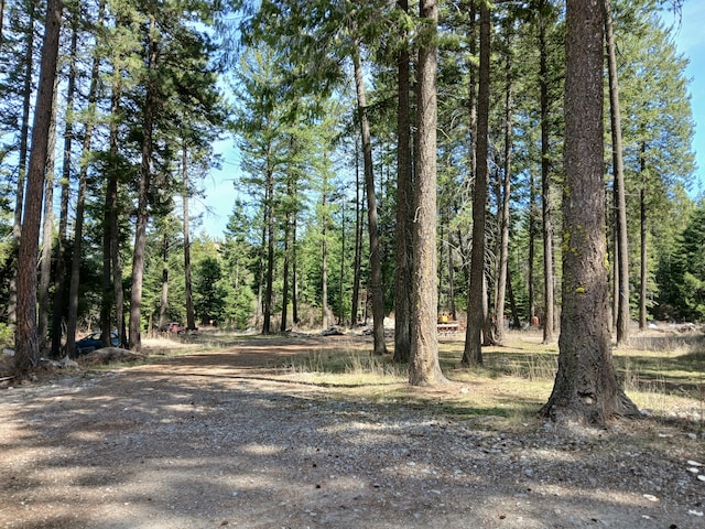 4224 Grouse Creek Rd Unit C, Loon Lake, WA 99148 - exterior space with a wooded view