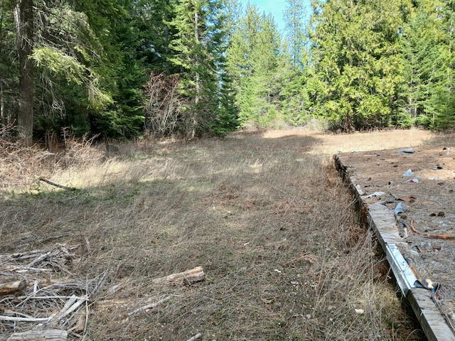 4224 Grouse Creek Rd Unit C, Loon Lake, WA 99148 - view of yard