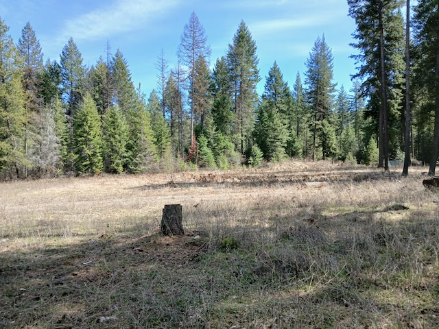 4224 Grouse Creek Rd Unit C, Loon Lake, WA 99148 - view of landscape featuring a view of trees