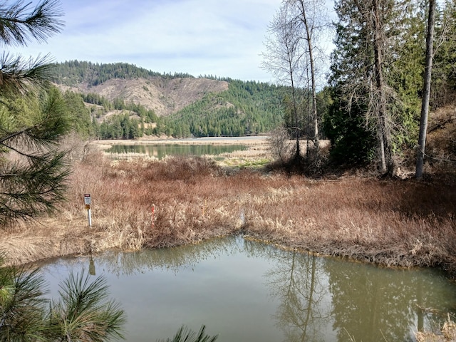 4224 Grouse Creek Rd Unit C, Loon Lake, WA 99148 - view of water feature featuring a forest view and a mountain view