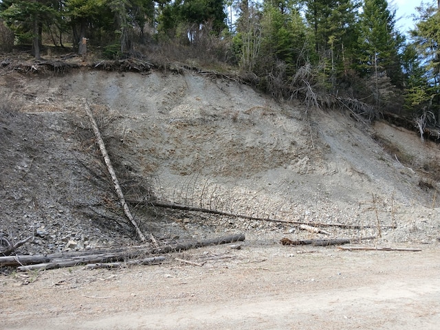 4224 Grouse Creek Rd, Loon Lake, WA 99148 - view of local wilderness