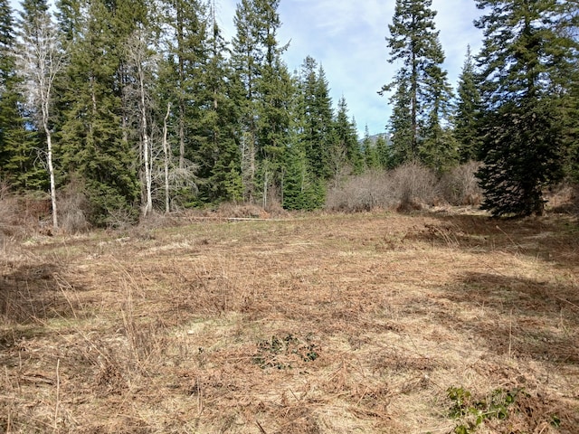 4224 Grouse Creek Rd Unit C, Loon Lake, WA 99148 - view of nature