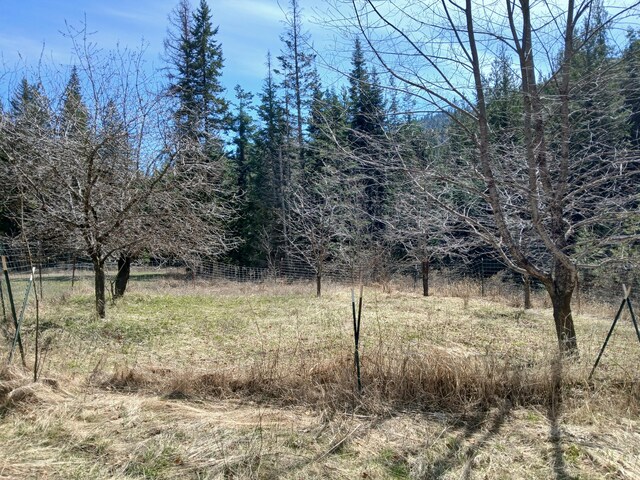 4224 Grouse Creek Rd Unit C, Loon Lake, WA 99148 - view of nature
