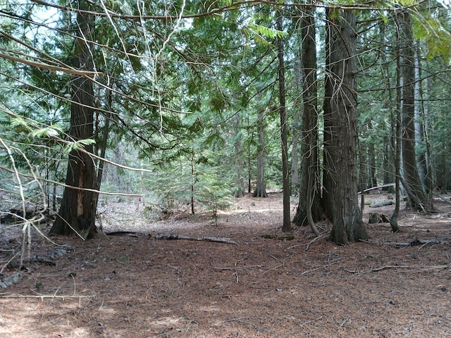 4224 Grouse Creek Rd Unit C, Loon Lake, WA 99148 - view of local wilderness featuring a view of trees