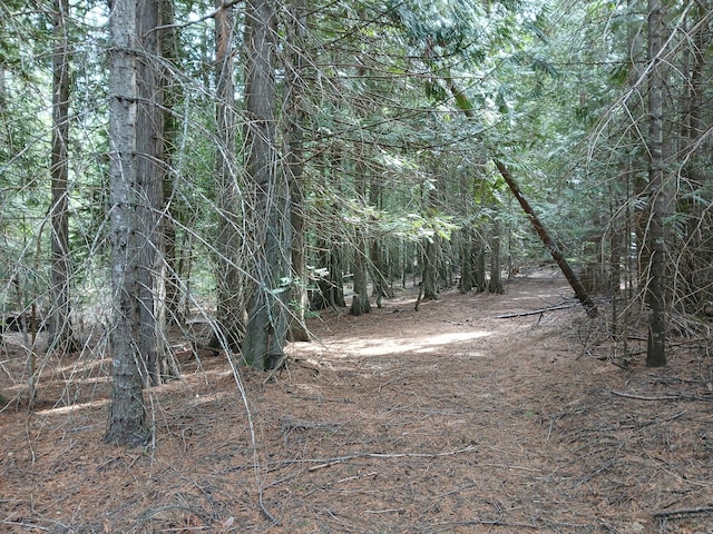 4224 Grouse Creek Rd Unit C, Loon Lake, WA 99148 - view of landscape featuring a forest view