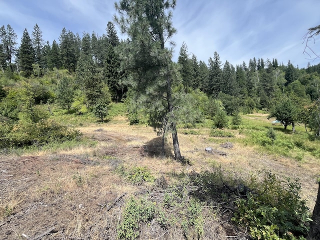 1TBD Mitchell Rd, Northport, WA 99157 - photo 8
