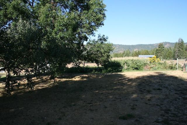 4738 Price Rd, Clayton, WA 99110 - view of yard