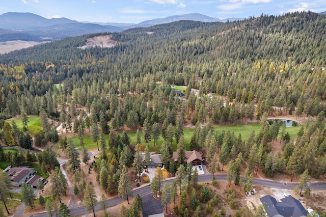 420 Palmer Ln, Chewelah, WA 99109 - drone / aerial view with a view of trees and a mountain view