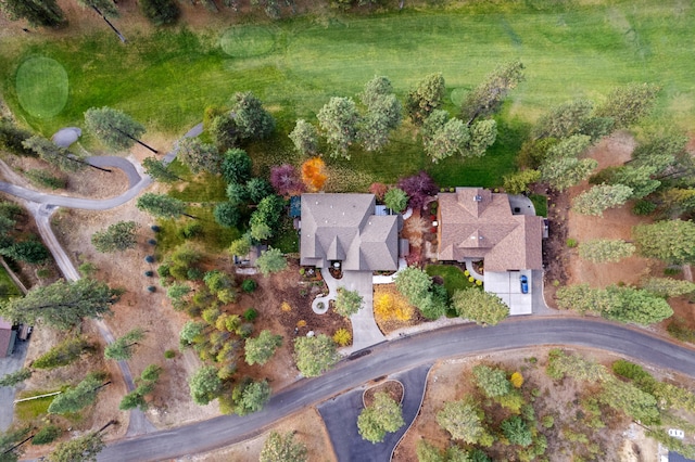 420 Palmer Ln, Chewelah, WA 99109 - bird's eye view