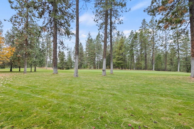 420 Palmer Ln, Chewelah, WA 99109 - view of yard