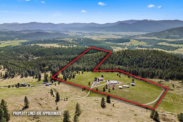 drone / aerial view with a forest view, a rural view, and a mountain view