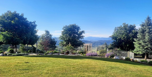 717 Conrad Hill Way, Colville, WA 99114 - view of green lawn featuring a mountain view
