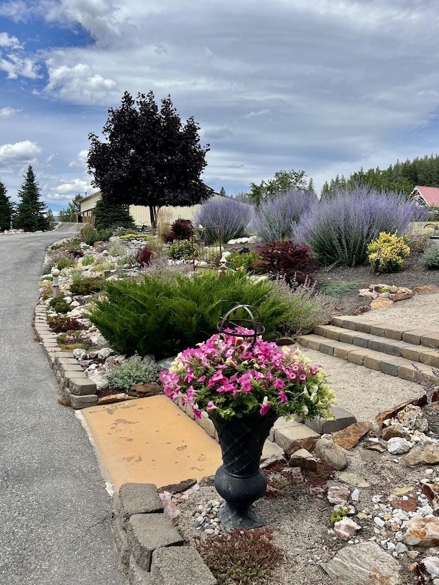 717 Conrad Hill Way, Colville, WA 99114 - photo 129