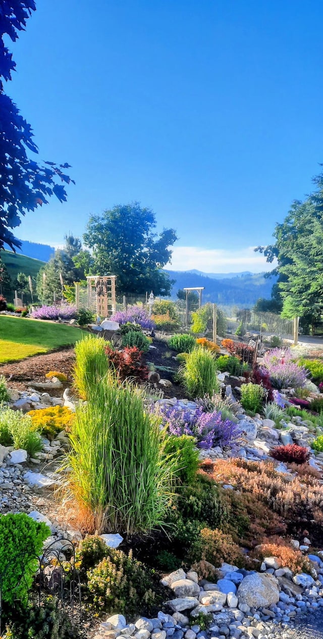 717 Conrad Hill Way, Colville, WA 99114 - view of yard