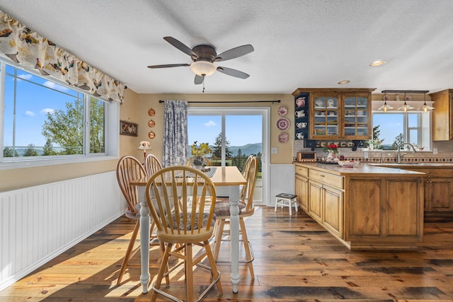 dining area with a wainscoted wall, dark wood-style floors, and a wealth of natural light