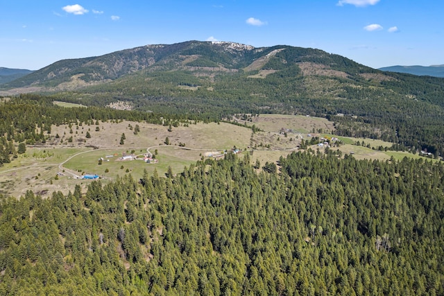 mountain view featuring a wooded view