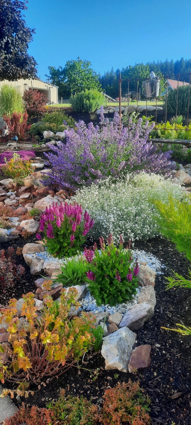 717 Conrad Hill Way, Colville, WA 99114 - view of yard