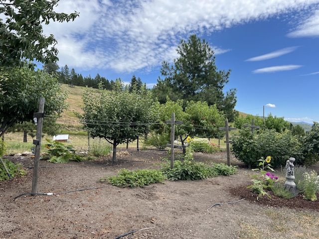 717 Conrad Hill Way, Colville, WA 99114 - photo 131