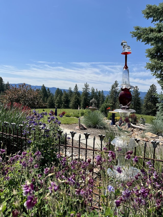 717 Conrad Hill Way, Colville, WA 99114 - view of yard with a mountain view