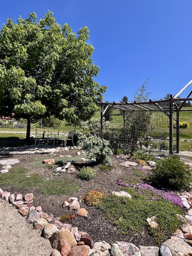 717 Conrad Hill Way, Colville, WA 99114 - view of yard