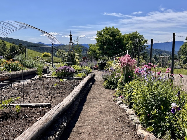 717 Conrad Hill Way, Colville, WA 99114 - view of yard with a vegetable garden and a mountain view