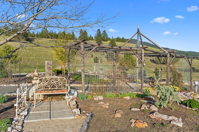 view of yard with a vegetable garden